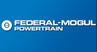 federal mogul